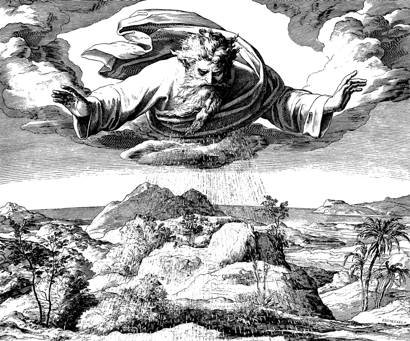 Bilder der Bibel - Der dritte Schöpfungstag