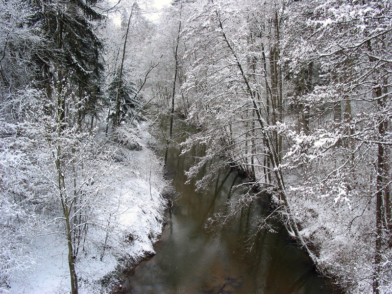 Schwarzach - Brückkanal