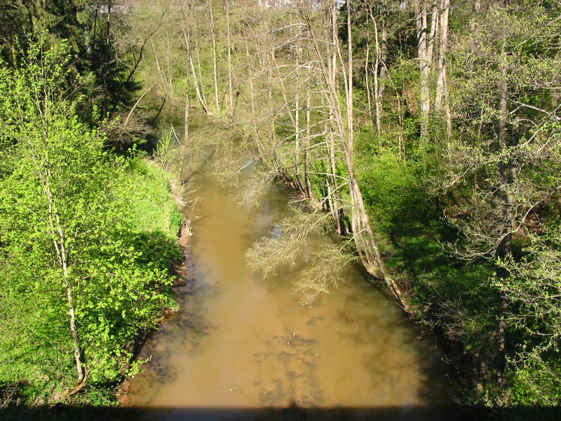 Schwarzach - Brückkanal