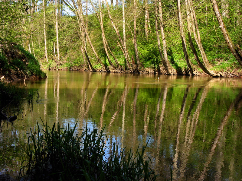 Schwarzach - Brückkanal