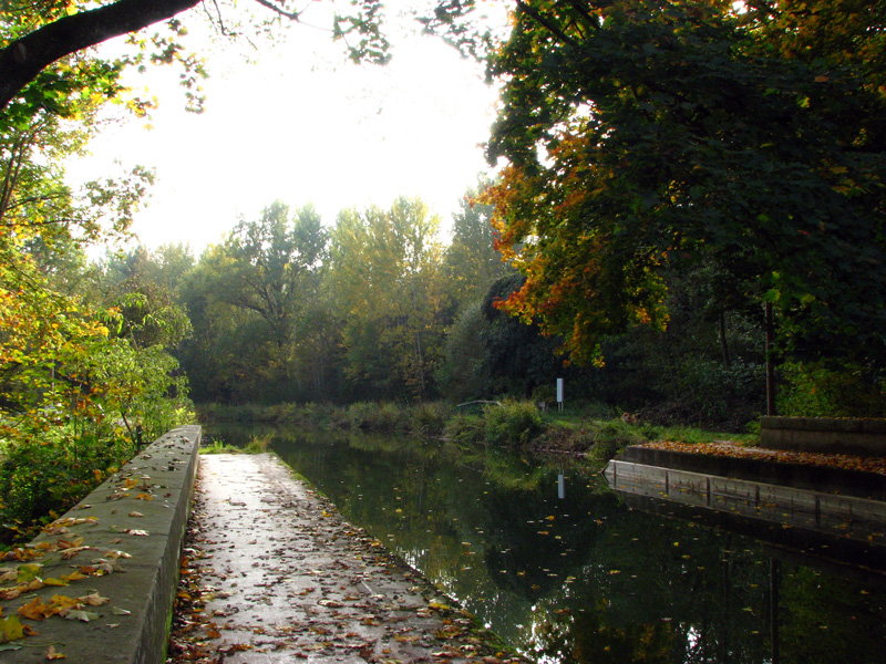 Schwarzach - Brückkanal