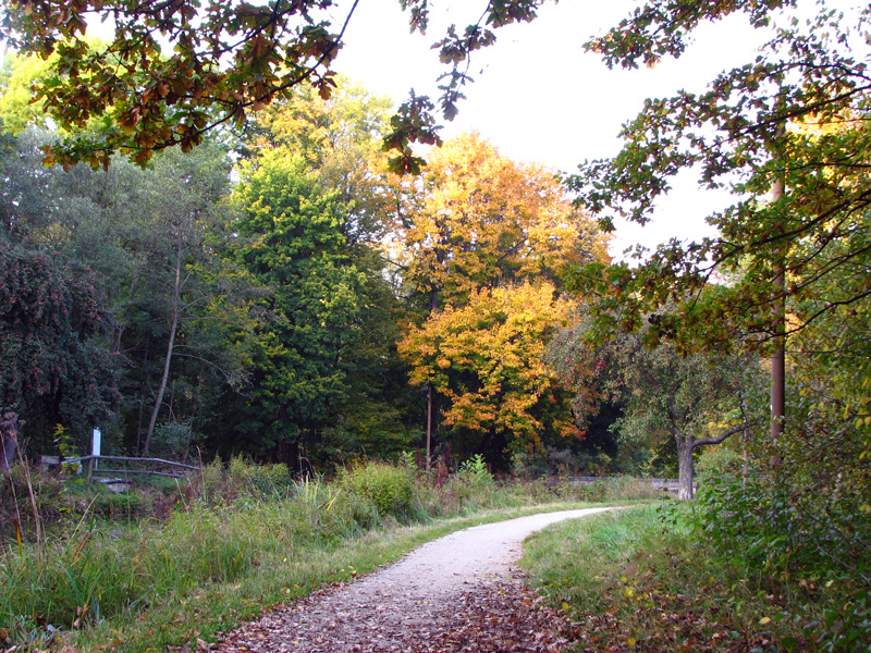 Schwarzach - Brückkanal