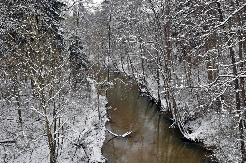 Schwarzach - Brückkanal