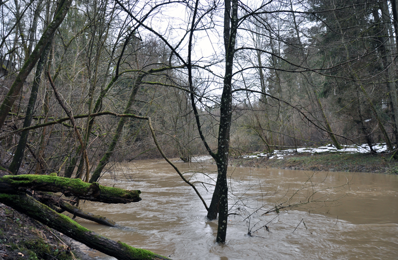 Schwarzach - Brückkanal