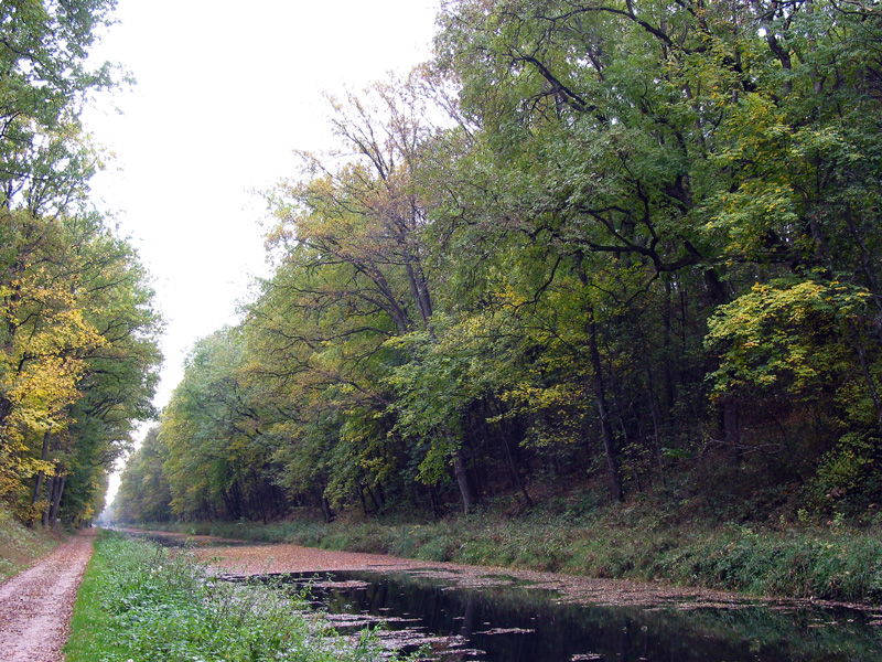 Buchberger Einschnitt