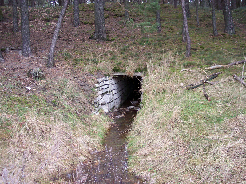 Buchberger Einschnitt