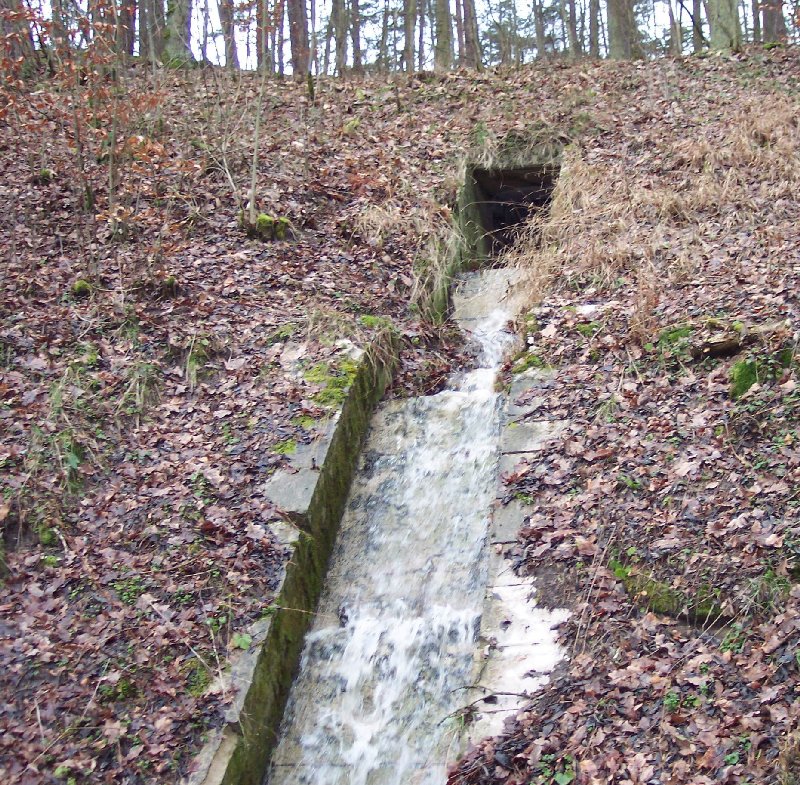 Buchberger Einschnitt