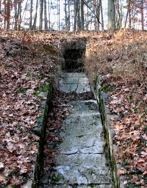 Buchberger Einschnitt