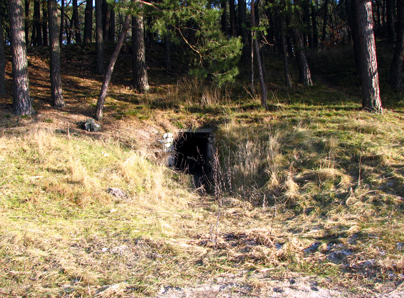 Buchberger Einschnitt