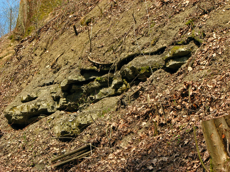 Dörlbacher Einschnitt