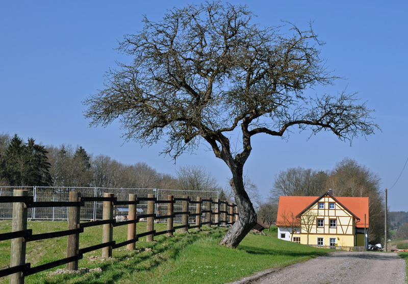 Dörlbacher Einschnitt