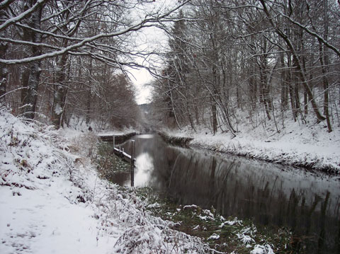 Dörlbacher Einschnitt