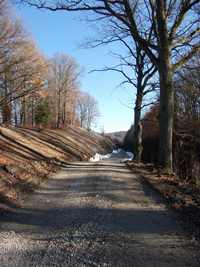 Dörlbacher Einschnitt