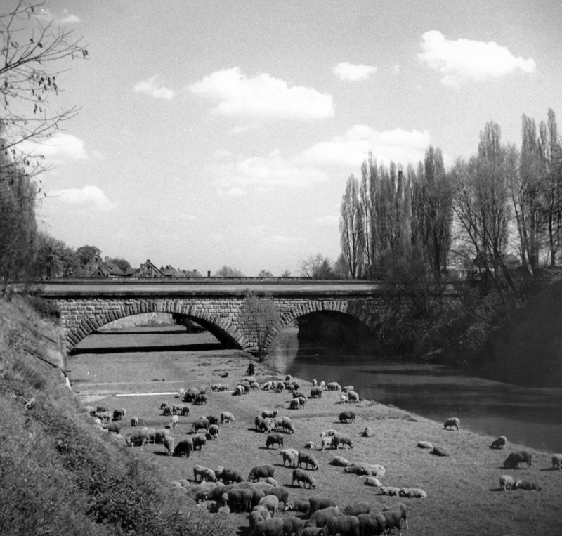 Fürth - Dooser-Brückkanal