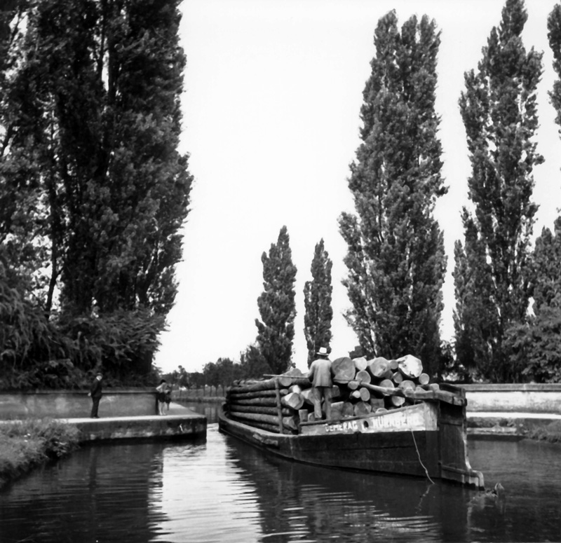 Fürth - Dooser-Brückkanal