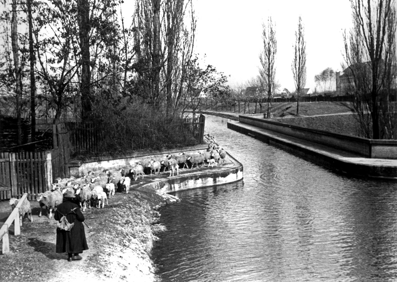 Fürth - Dooser-Brückkanal