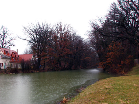 Fossa Carolina