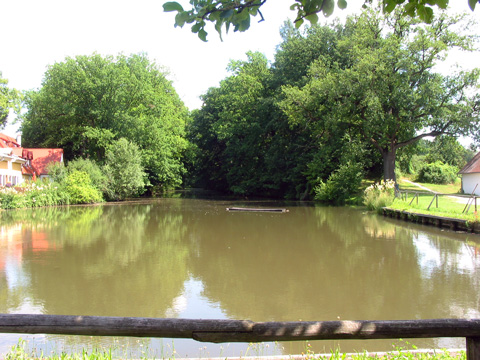 Fossa Carolina