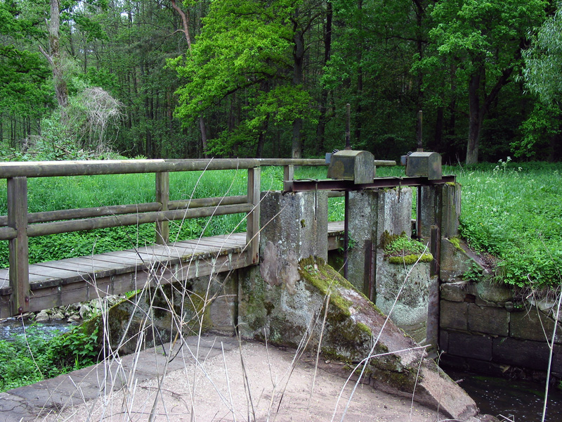 Gauchsbach-Leitgraben