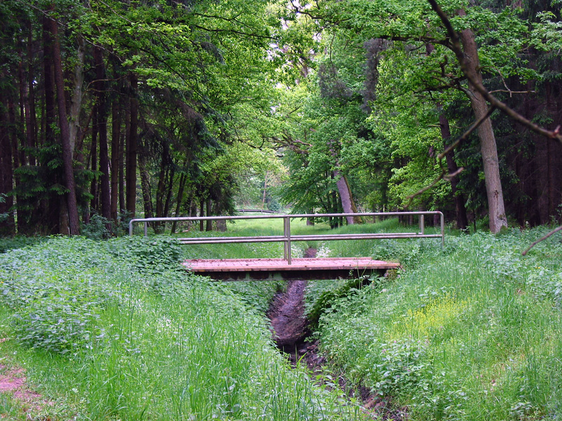 Gauchsbach-Leitgraben