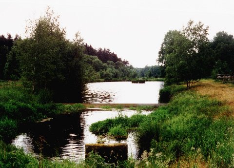 Gauchsbach-Leitgraben