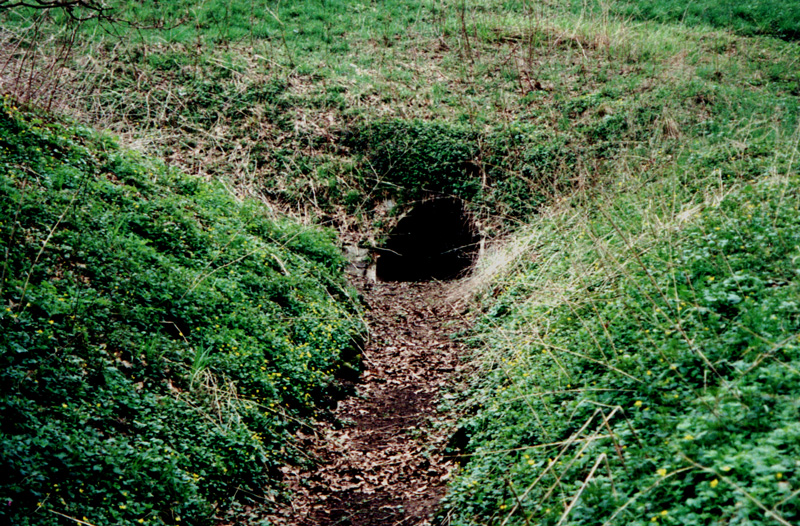 Gauchsbach-Leitgraben