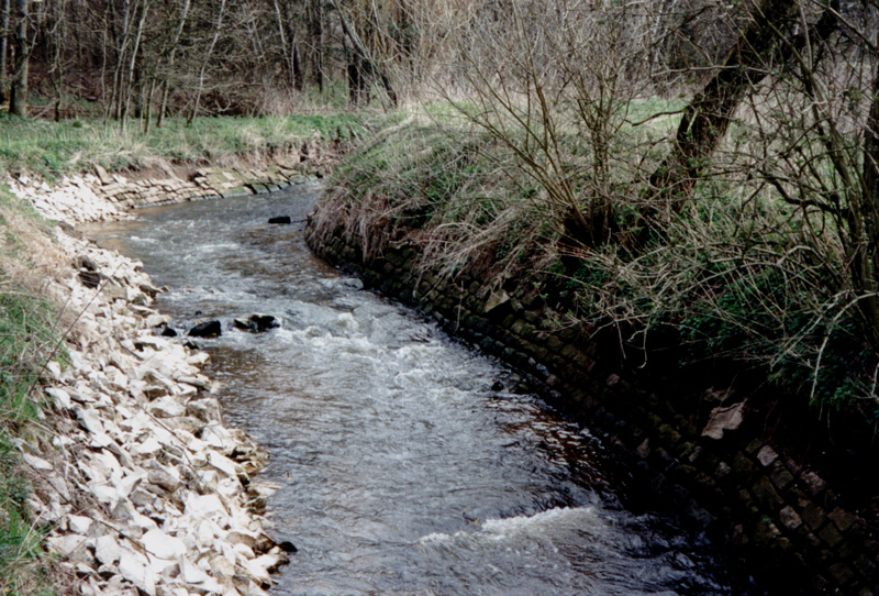 Gauchsbach-Leitgraben