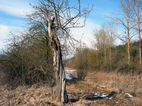 Hafen Beilngries