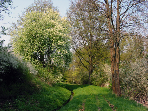 Hausheim-Leitgraben