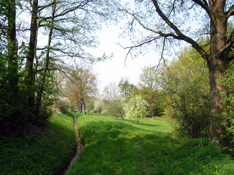 Hausheim-Leitgraben