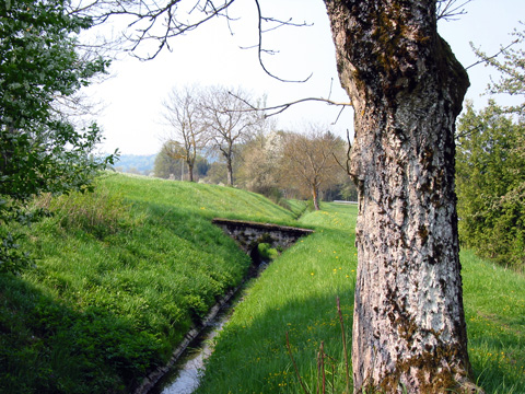 Hausheim-Leitgraben