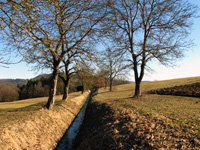 Hausheim-Leitgraben