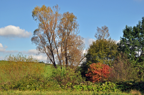 Hausheim-Leitgraben