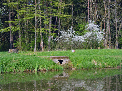 Kettenbach-Leitgraben