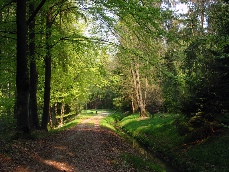 Kettenbach-Leitgraben