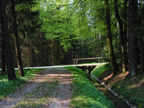 Kettenbach-Leitgraben