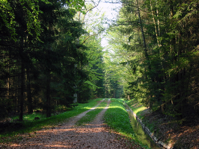 Kettenbach-Leitgraben