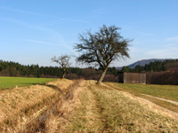 Kettenbach-Leitgraben