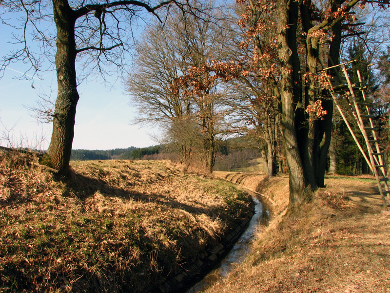 Kettenbach-Leitgraben