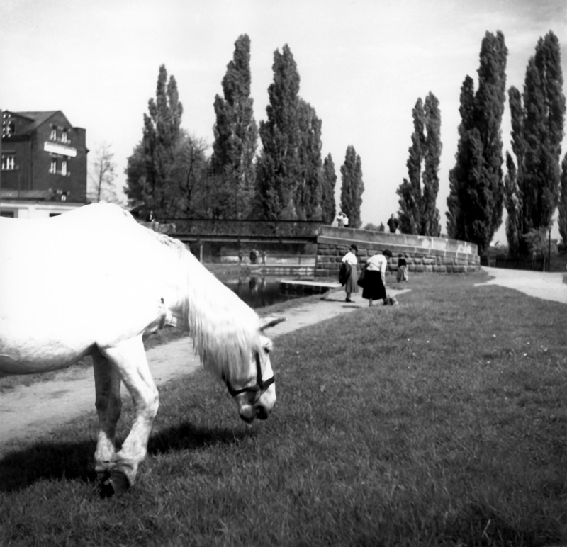 Fürth - Kurgartensteg