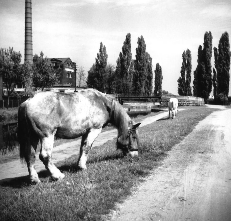 Fürth - Kurgartensteg