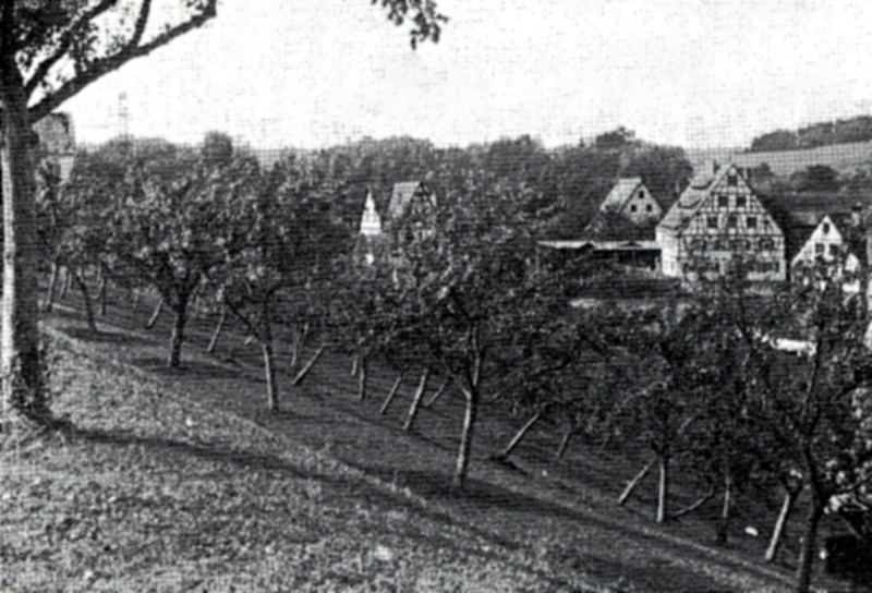 Dammrutschungen - Ludwigkanal