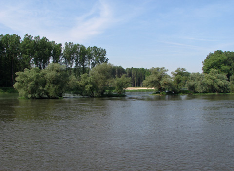 Donau