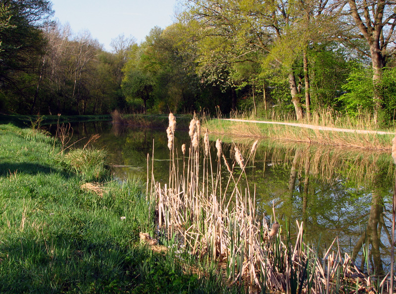 Treidelschiff Elfriede