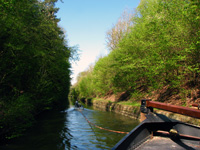 Treidelschiff Elfriede