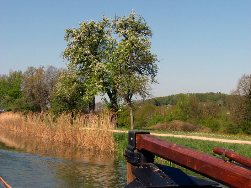 Treidelschiff Elfriede