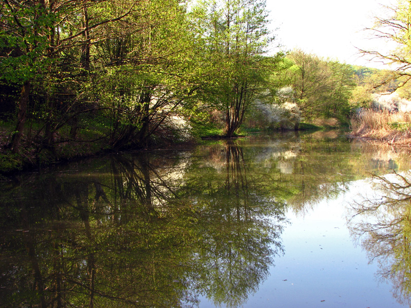 Treidelschiff Elfriede