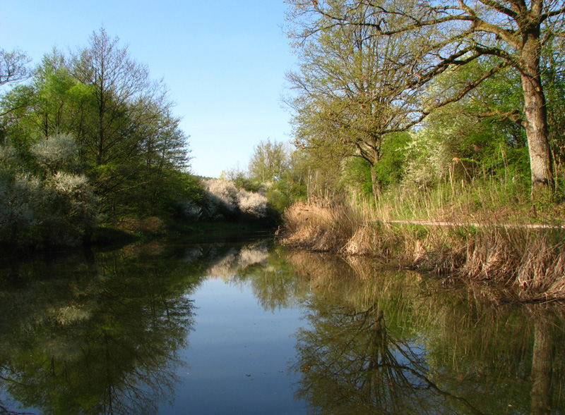 Treidelschiff Elfriede