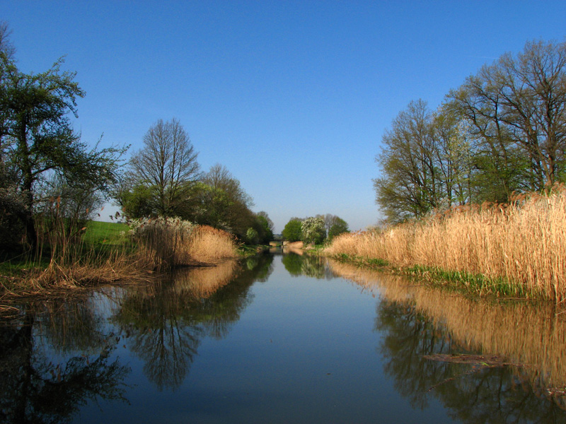 Treidelschiff Elfriede