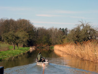 Treidelschiff Elfriede